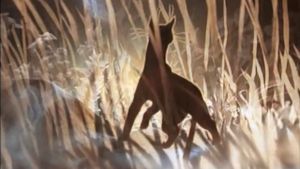 The Cat Who Walked by Herself's poster