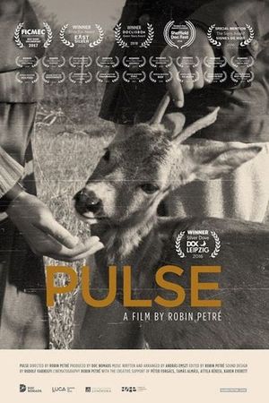 Pulse's poster