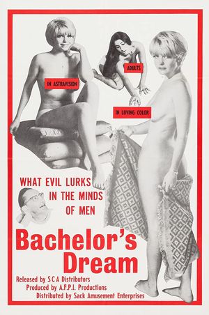 The Bachelor's Dreams's poster