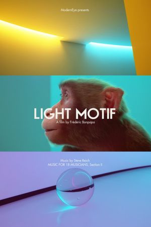 Light Motif's poster