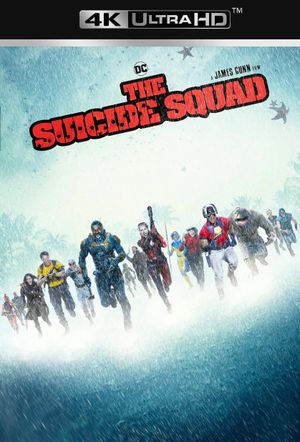The Suicide Squad's poster