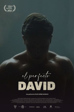 The Perfect David's poster