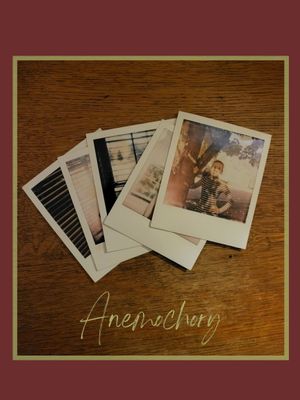 Anemochory's poster