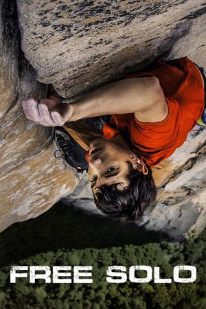 Free Solo's poster