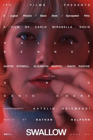 Swallow's poster