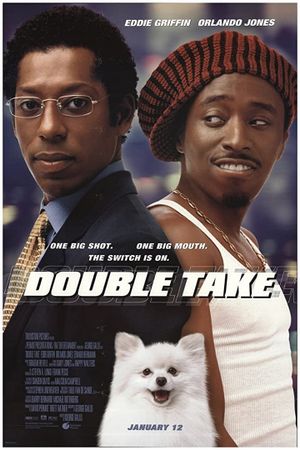 Double Take's poster
