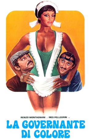 Una bella governante di colore's poster