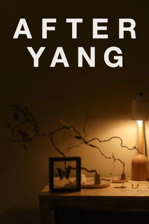 After Yang's poster