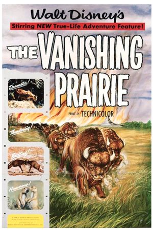 The Vanishing Prairie's poster