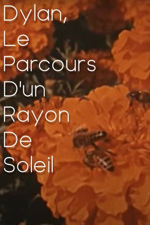 Dylan, le parcours d'un rayon de soleil's poster