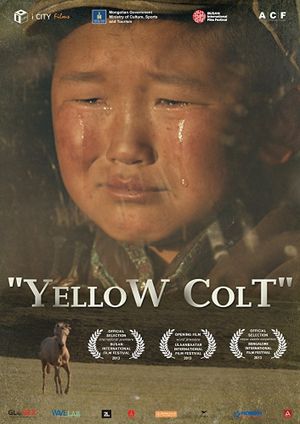 Yellow Colt's poster