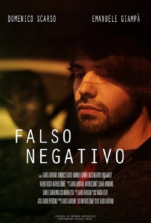 False Negative's poster