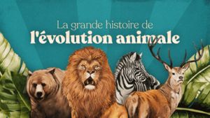La Grande Histoire de l'évolution animale's poster