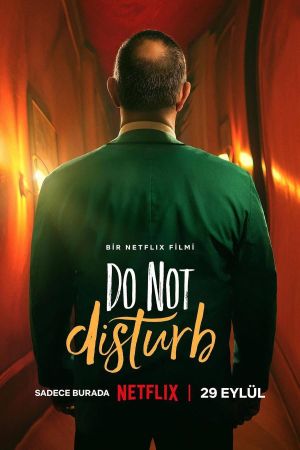 Do Not Disturb's poster