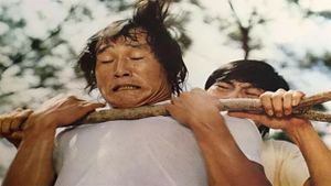 Wei ji si fu's poster