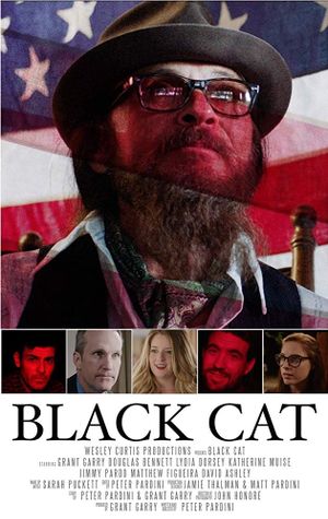 Black Cat's poster image