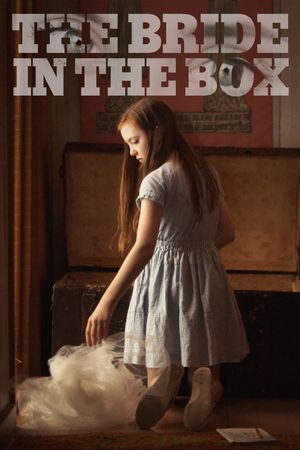 The Bride in the Box's poster image