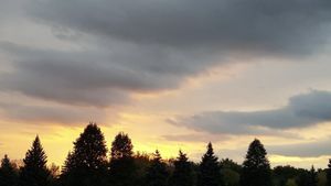 Sunsets Don't Last Forever's poster