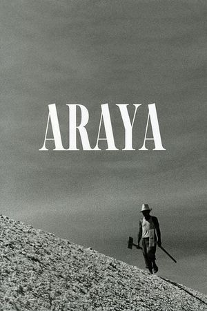 Araya's poster