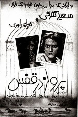 Flight in the Cage's poster image