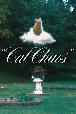 Cat Chaos's poster