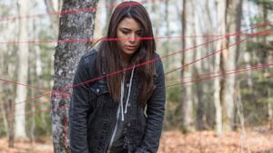 Pyewacket's poster