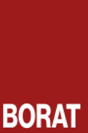 Borat's poster