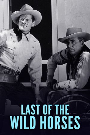 Last of the Wild Horses's poster