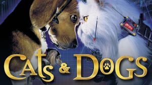 Cats & Dogs's poster