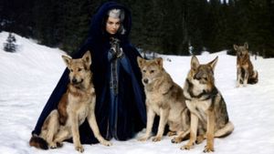 The Miracle of the Wolves's poster
