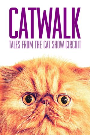 Catwalk: Tales from the Cat Show Circuit's poster