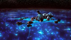 Life of Pi's poster