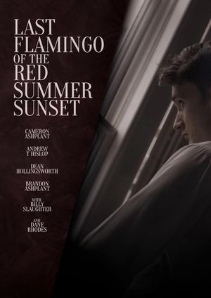 Last Flamingo of the Red Summer Sunset's poster