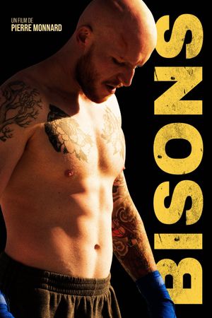 Bisons's poster
