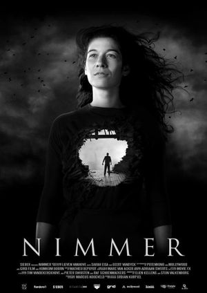Nimmer's poster