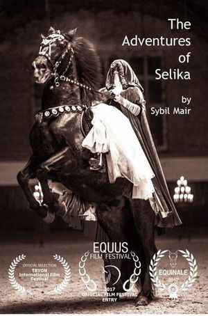 The Adventures of Selika's poster image