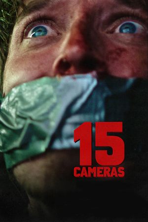15 Cameras's poster