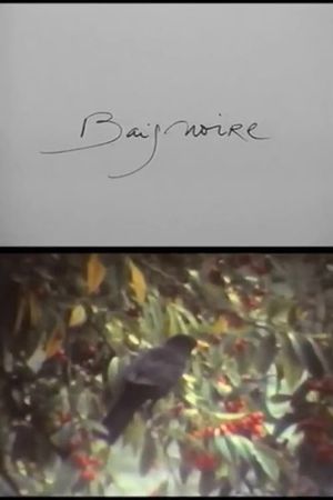 Baignoire's poster