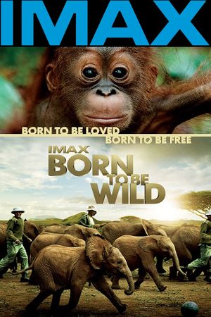 Born to Be Wild's poster