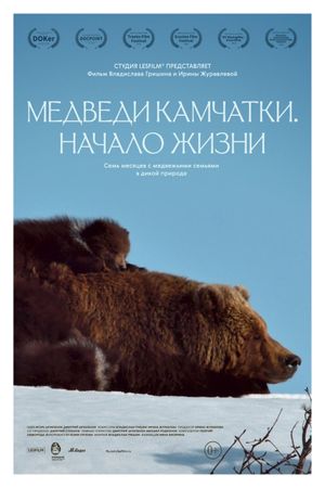 Kamchatka Bears. Life Begins's poster