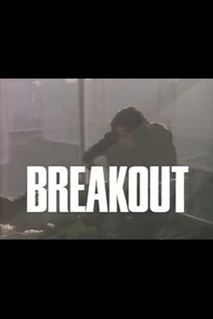 Breakout's poster