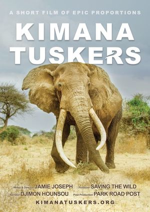 Kimana Tuskers's poster