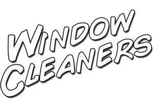 Window Cleaners's poster