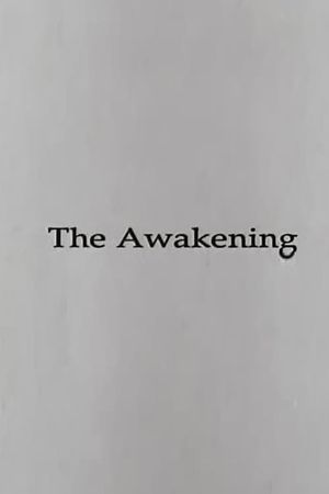 The Awakening's poster