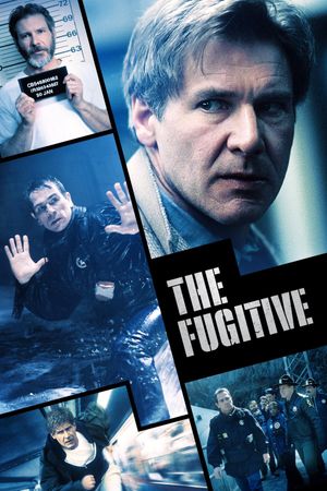The Fugitive's poster