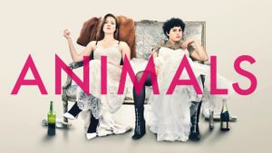 Animals's poster