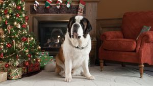 Beethoven's Christmas Adventure's poster