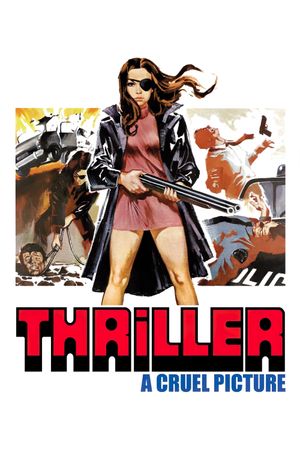 Thriller: A Cruel Picture's poster