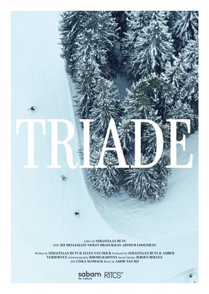 Triade's poster