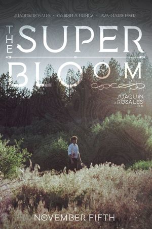 The Superbloom's poster
